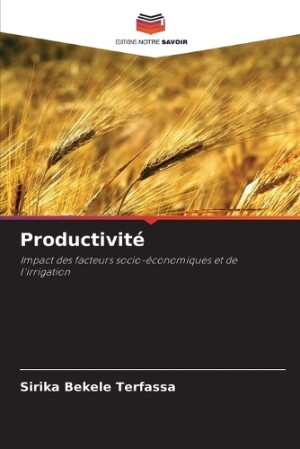 Productivité