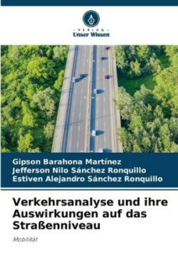 Verkehrsanalyse und ihre Auswirkungen auf das Straßenniveau