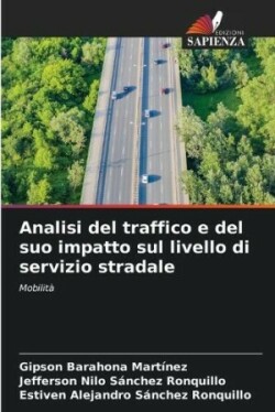 Analisi del traffico e del suo impatto sul livello di servizio stradale