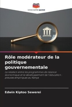 Rôle modérateur de la politique gouvernementale