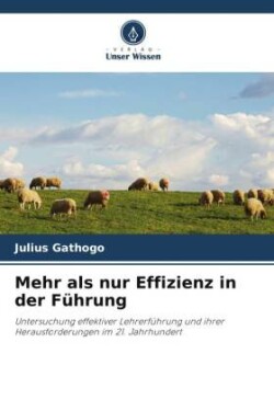 Mehr als nur Effizienz in der Führung