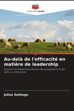 Au-delà de l'efficacité en matière de leadership