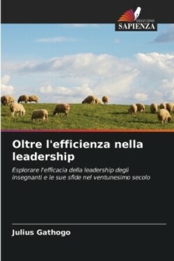 Oltre l'efficienza nella leadership