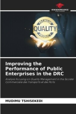 Improving the Performance of Public Enterprises in the DRC