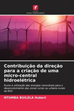 Contribuição da direção para a criação de uma micro-central hidroelétrica