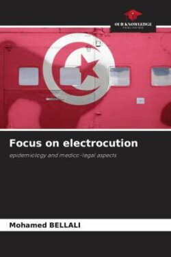 Focus on electrocution