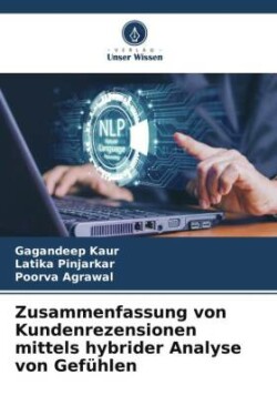 Zusammenfassung von Kundenrezensionen mittels hybrider Analyse von Gefühlen