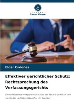 Effektiver gerichtlicher Schutz