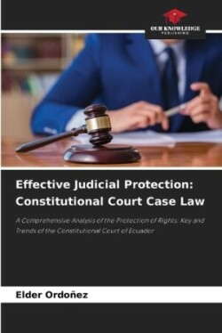 Effective Judicial Protection