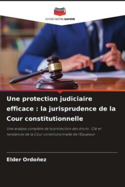 protection judiciaire efficace