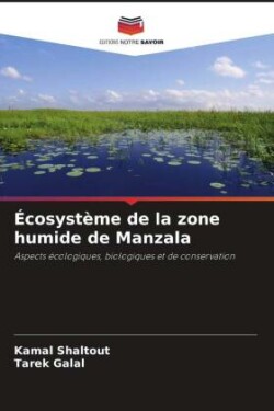 Écosystème de la zone humide de Manzala