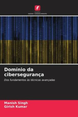 Domínio da cibersegurança
