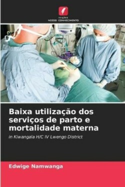 Baixa utilização dos serviços de parto e mortalidade materna