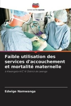 Faible utilisation des services d'accouchement et mortalité maternelle