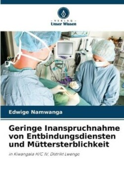 Geringe Inanspruchnahme von Entbindungsdiensten und Müttersterblichkeit