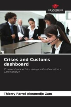 Crises and Customs dashboard