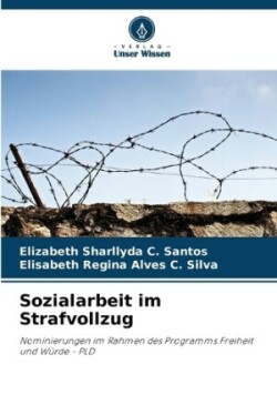 Sozialarbeit im Strafvollzug