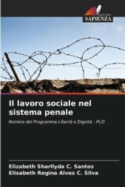 lavoro sociale nel sistema penale