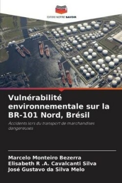 Vulnérabilité environnementale sur la BR-101 Nord, Brésil