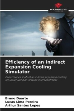 Efficiency of an Indirect Expansion Cooling Simulator