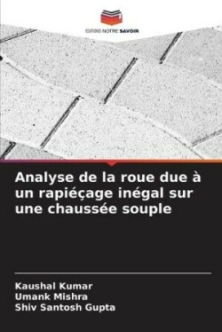 Analyse de la roue due à un rapiéçage inégal sur une chaussée souple