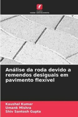 Análise da roda devido a remendos desiguais em pavimento flexível