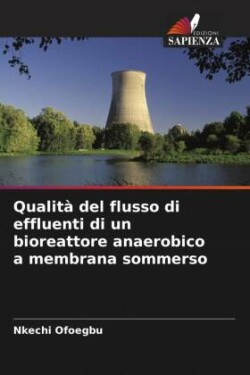 Qualità del flusso di effluenti di un bioreattore anaerobico a membrana sommerso