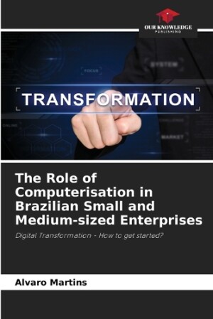 Role of Computerisation in Brazilian Small and Medium-sized Enterprises