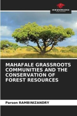 Mahafale Grassroots Communities and the Conservation of Forest Resources