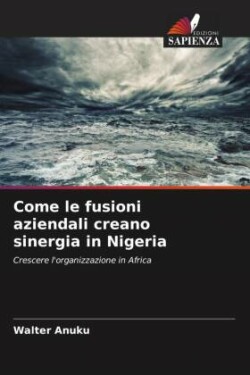 Come le fusioni aziendali creano sinergia in Nigeria