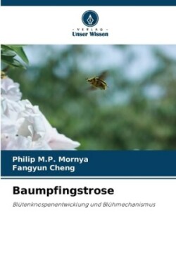 Baumpfingstrose