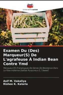 Examen Du (Des) Marqueur(S) De L'agrafeuse À Indian Bean Contre Ymd