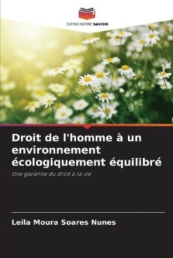 Droit de l'homme à un environnement écologiquement équilibré