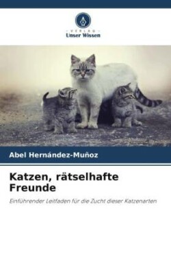 Katzen, rätselhafte Freunde