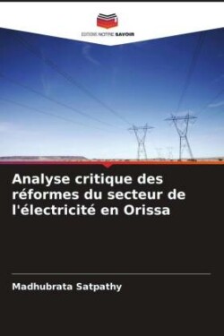 Analyse critique des réformes du secteur de l'électricité en Orissa