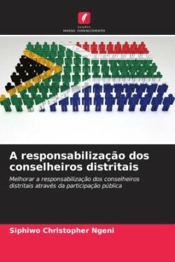 A responsabilização dos conselheiros distritais