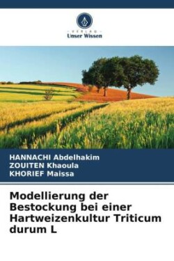 Modellierung der Bestockung bei einer Hartweizenkultur Triticum durum L