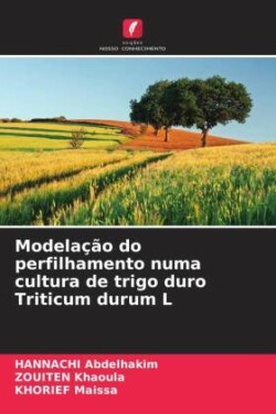 Modelação do perfilhamento numa cultura de trigo duro Triticum durum L