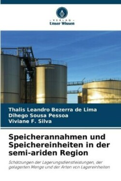 Speicherannahmen und Speichereinheiten in der semi-ariden Region