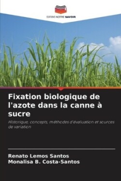 Fixation biologique de l'azote dans la canne à sucre