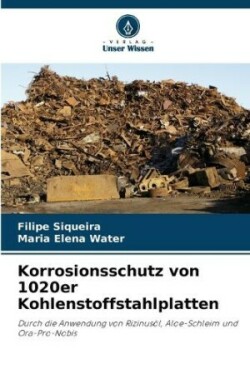 Korrosionsschutz von 1020er Kohlenstoffstahlplatten