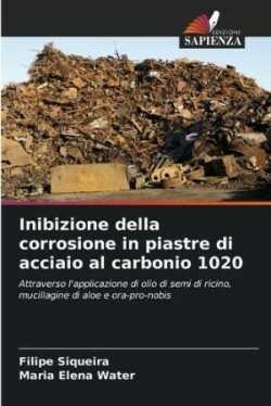 Inibizione della corrosione in piastre di acciaio al carbonio 1020