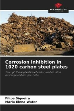 Corrosion inhibition in 1020 carbon steel plates