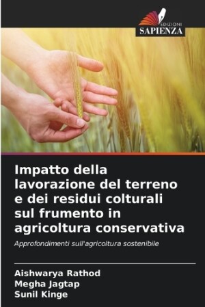 Impatto della lavorazione del terreno e dei residui colturali sul frumento in agricoltura conservativa