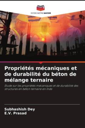 Propriétés mécaniques et de durabilité du béton de mélange ternaire