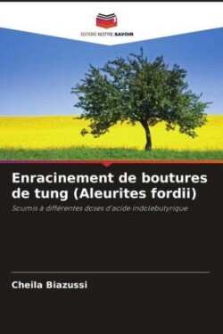 Enracinement de boutures de tung (Aleurites fordii)