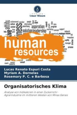 Organisatorisches Klima