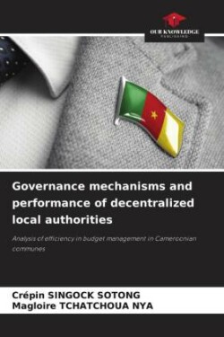 Governance mechanisms and performance of decentralized local authorities