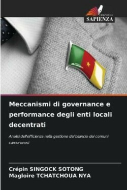 Meccanismi di governance e performance degli enti locali decentrati