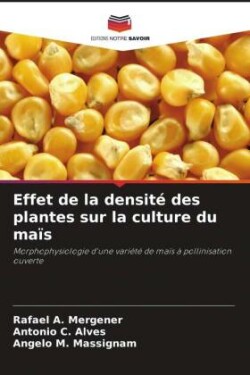 Effet de la densité des plantes sur la culture du maïs